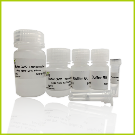 AFT Viral DNA/RNA Kit 病毒基因组DNA/RNA提取试剂盒