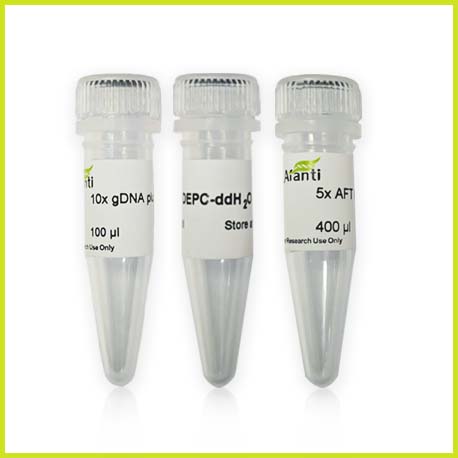 AFT qPCR RT kit with gDNA remover（最便捷反转录试剂盒含gDNA去除剂）