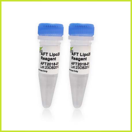 AFT  Lipo2000 Transfection Reagent （完全替代life的lipo2000）