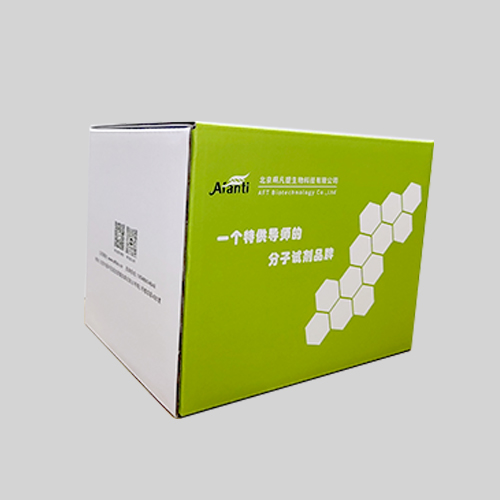 AFT 游离DNA提取试剂盒