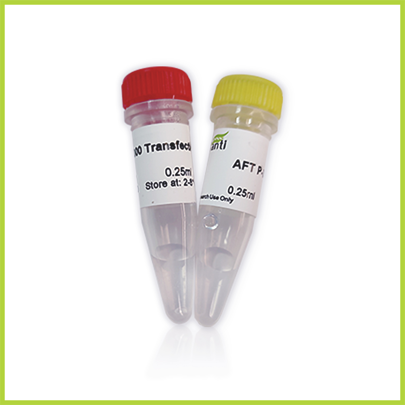 AFT Lipo3000 Transfection Reagent （完全替代life的lipo3000）