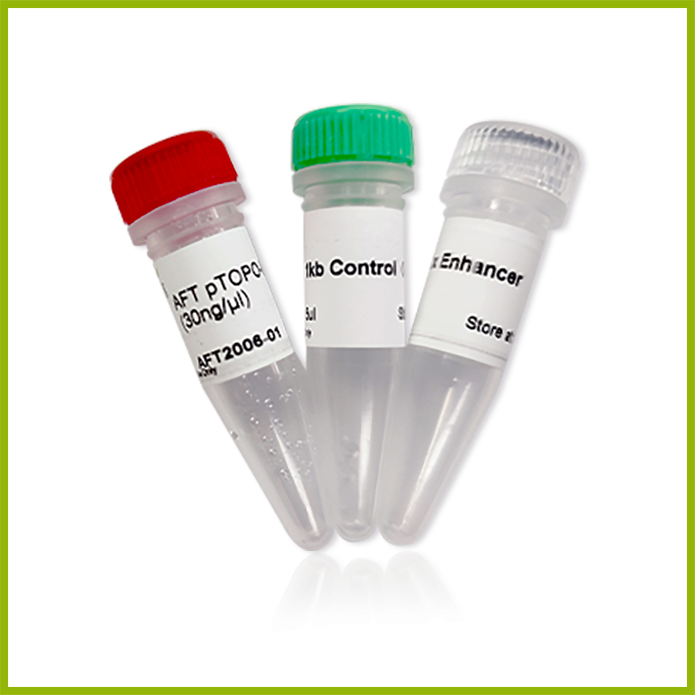 AFT pTOPO-Blunt Cloning Kit 