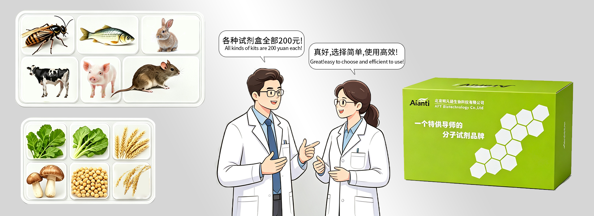 首页焦点图5