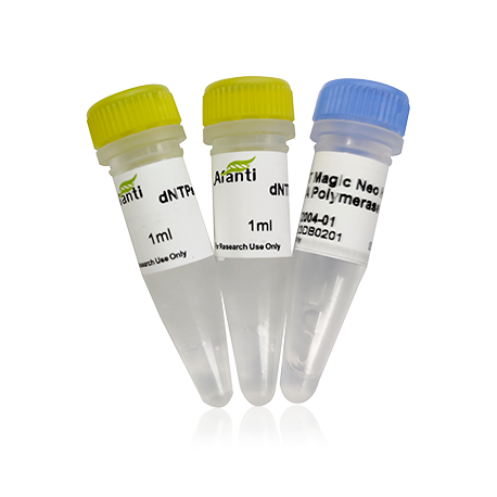 AFT Magic Neo High-Fidelity DNA Polymerase ( with dNTPs）(AFT Neo超保真酶）