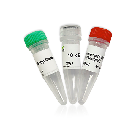 AFT pTOPO-TA Cloning Kit  