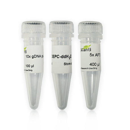 AFT qPCR RT kit with gDNA remover（最便捷反转录试剂盒含gDNA去除剂）