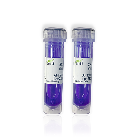 2X AFT Taq HiFi PCR mix (with blue dye) 蓝色染料高保真Taq酶mix