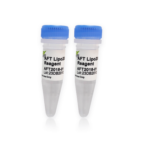 AFT  Lipo2000 Transfection Reagent （完全替代life的lipo2000）