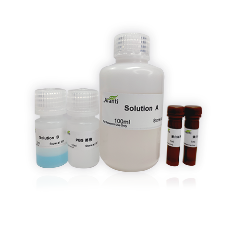 AFT  BCA Protein Assay kit（BCA蛋白定量试剂盒）