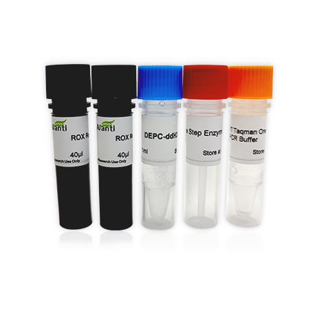 AFT One-Step qRT-PCR kit (Sybrgreen)（一步法染料法荧光定量试剂盒）