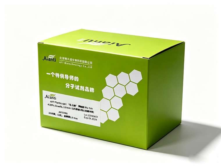 AFT Plastics gel  “马上跑” 预制胶 Bis-Tris  4-20%, 12 wells,  1.0 mm（5片胶带1包1L的缓冲液）